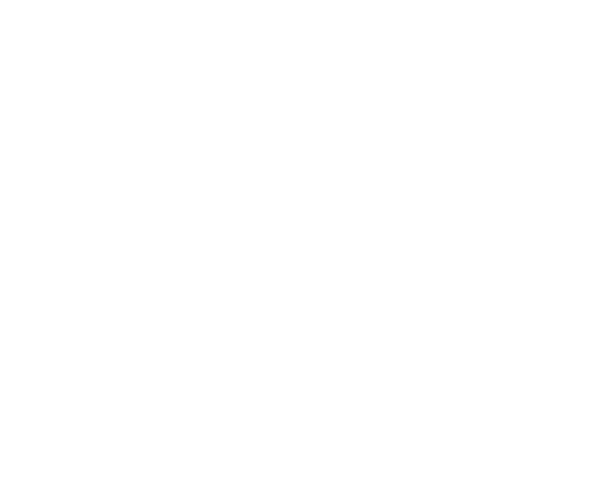Domiwindows Group